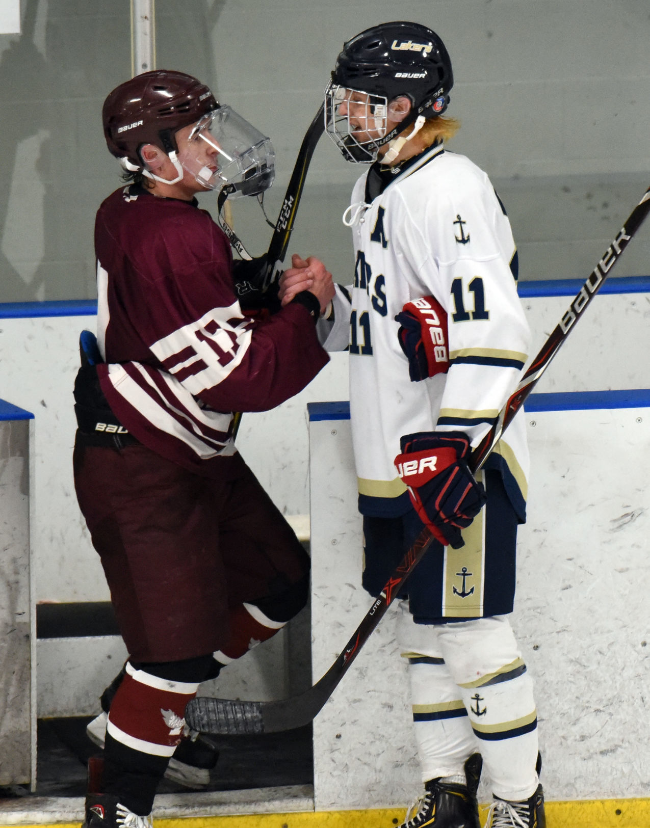 Auburn Skaneateles Hockey 11.JPG